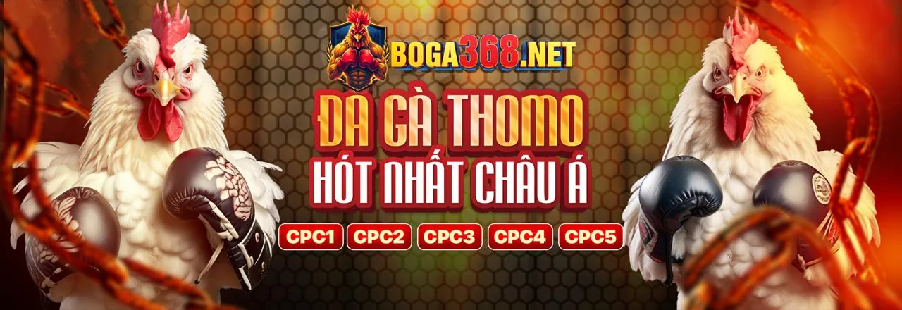 Hình ảnh đối tác M98 Win hợp tác thành công