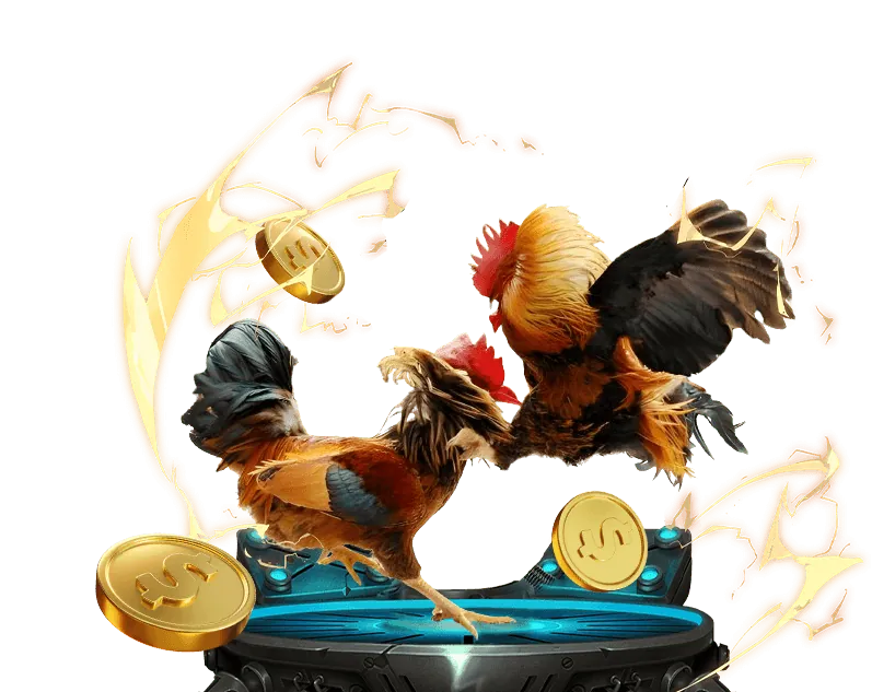 Cá cược bóng rổ M98 Win